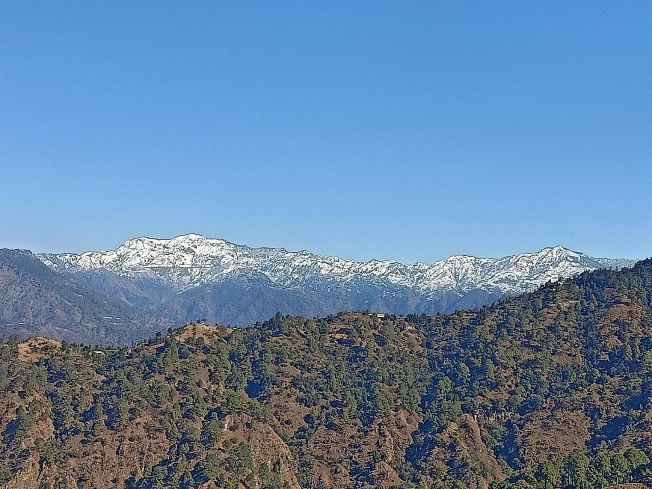 Shiva Valley Resort Kokhliyal Gaon Экстерьер фото